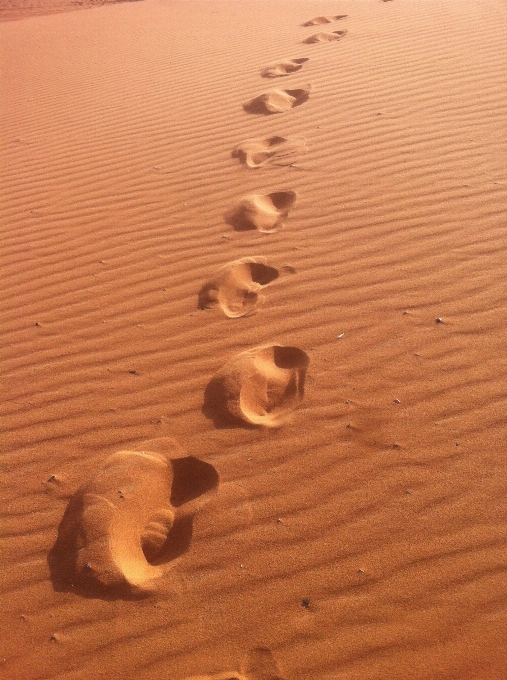 Landscape sand wing wood