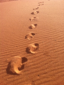 Landscape sand wing wood Photo