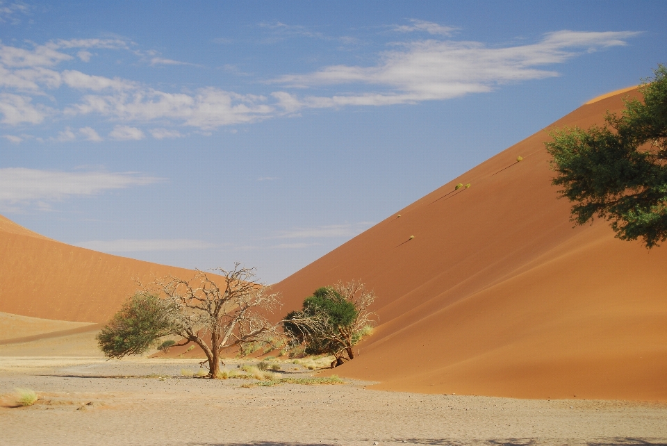 Paysage nature sable ciel