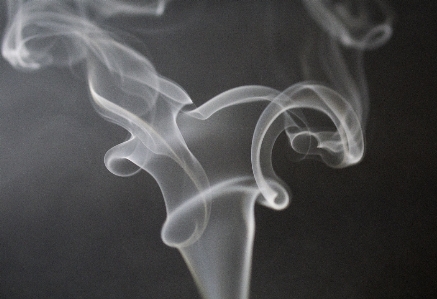 Light black and white smoke smoking Photo