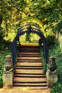 Flower arch green autumn Photo