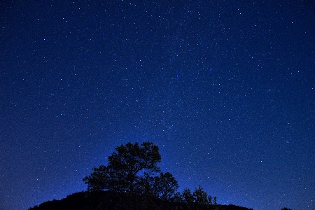 Foto Paesaggio albero cielo notte