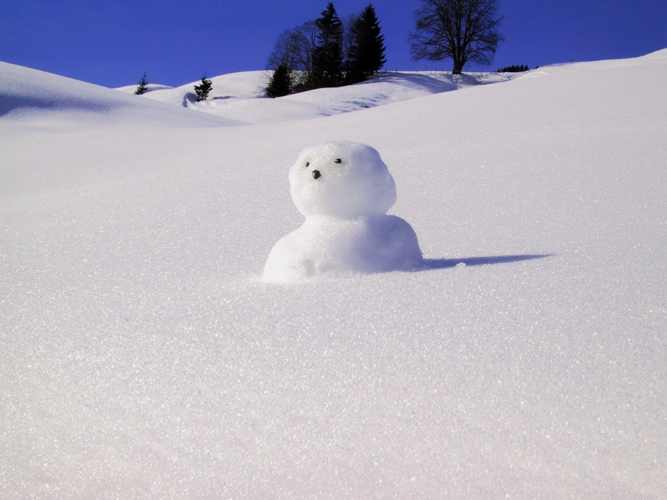 Nevicare freddo inverno ghiaccio