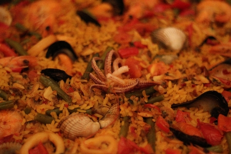 Gericht mahlzeit essen meeresfrüchte Foto