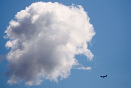 Landscape wing cloud sky Photo