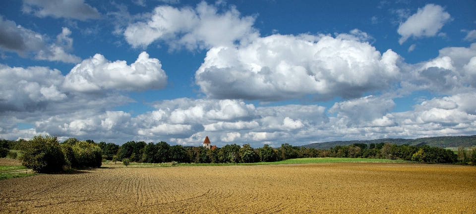 Paesaggio natura erba orizzonte