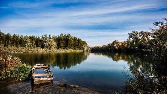 Landscape tree water nature Photo