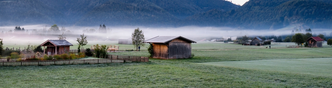 Landscape cold fog morning Photo