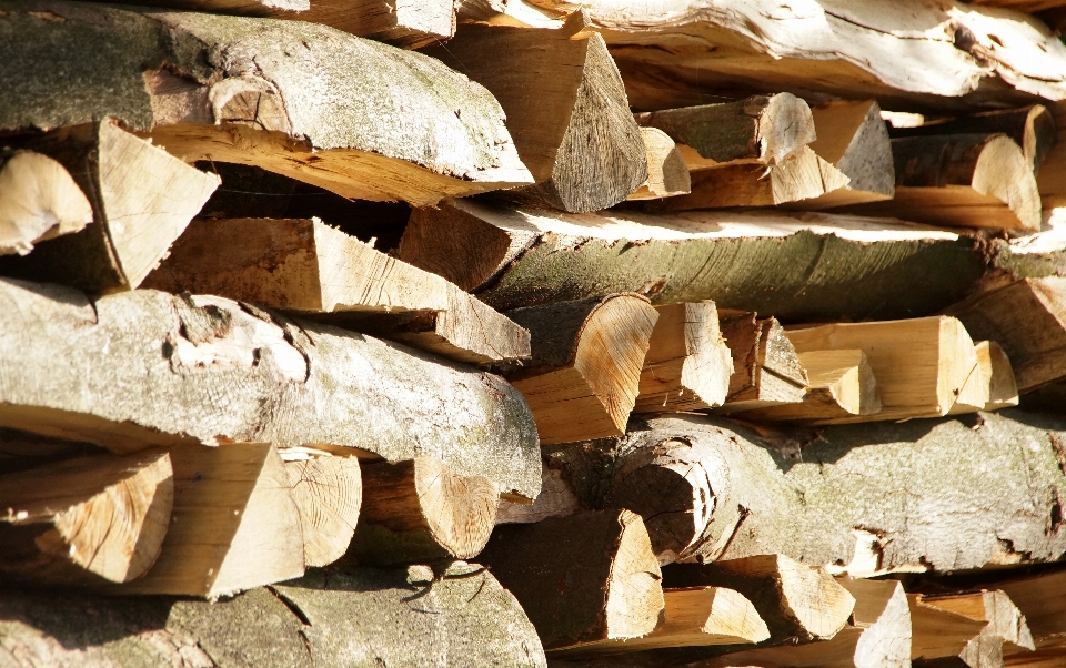 Paesaggio legni galleggianti
 albero natura