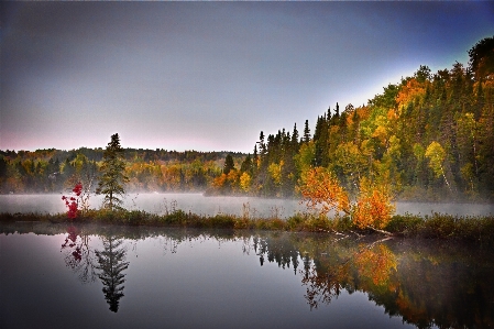 Landscape tree water nature Photo