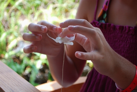 Hand white flower petal Photo