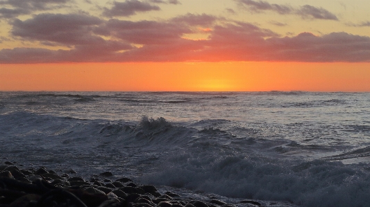 Beach sea coast nature Photo