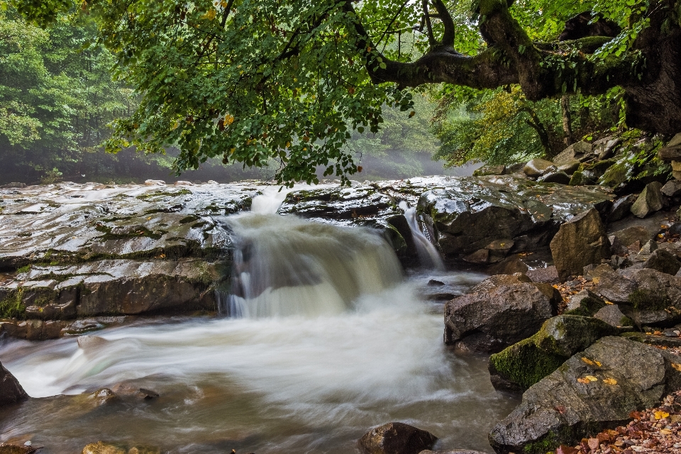 Wasser natur wald rock