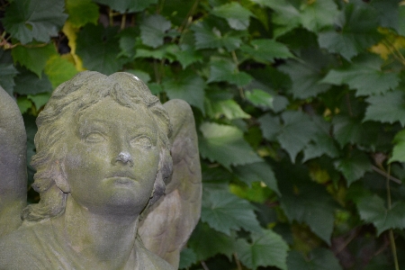 Flower stone monument statue Photo