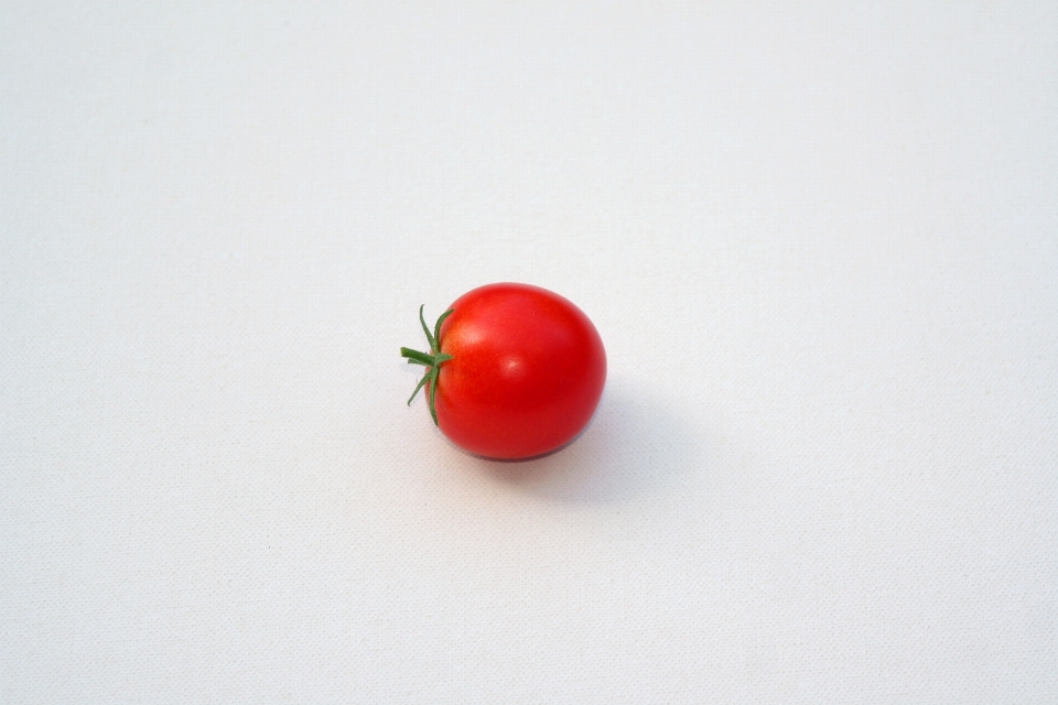 Plant fruit flower summer