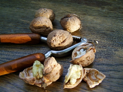 Wood food produce vegetable Photo