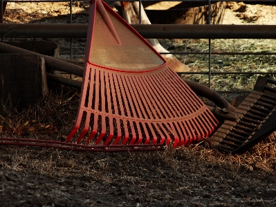 Wood track tool farming Photo