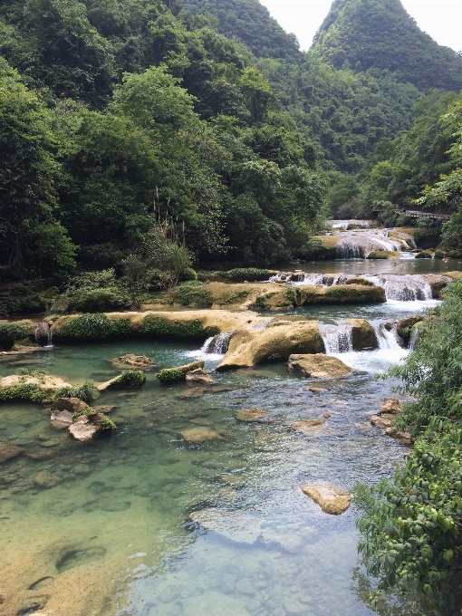 пейзаж дерево вода природа