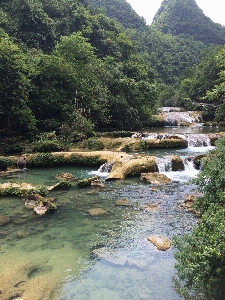 Manzara ağaç su doğa Fotoğraf