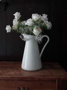 Foto Branco flor vaso romântico