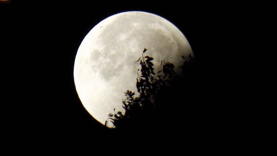 Nature sky night atmosphere