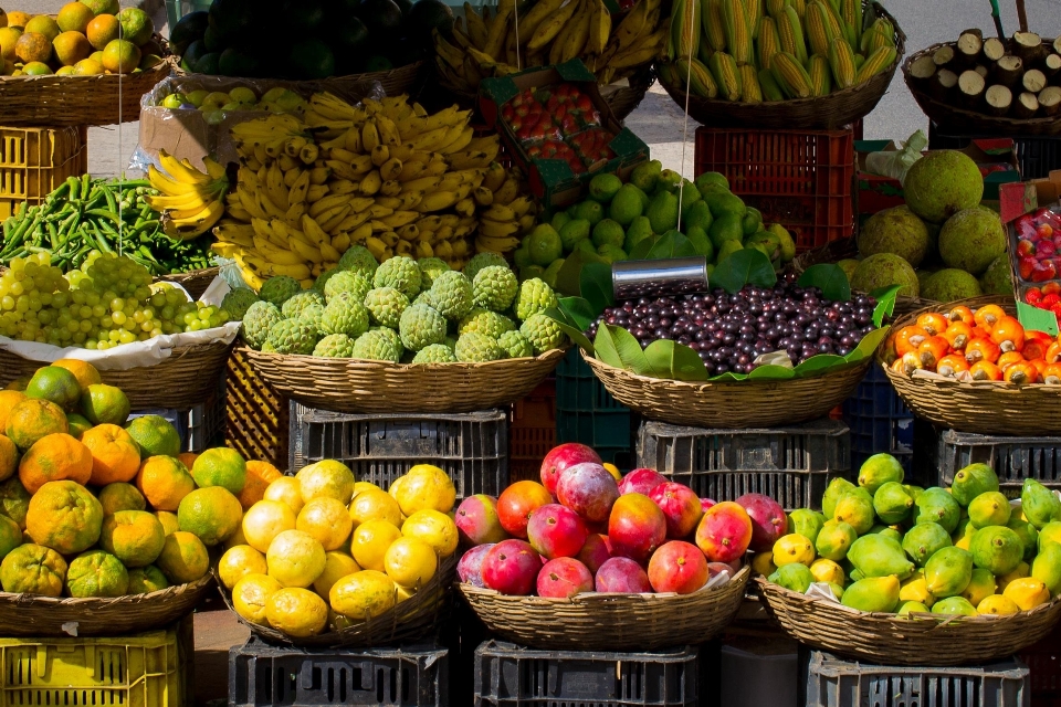 Pianta frutta città maturo
