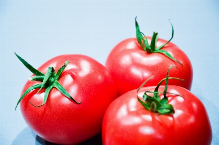 Plant fruit food salad Photo