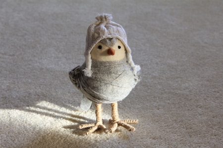 クリエイティブ 鳥 白 動物 写真