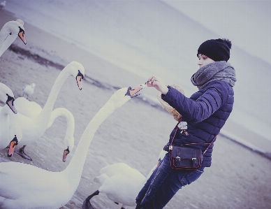 水 自然 雪 冬 写真