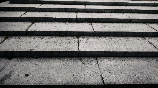 Foto Bianco e nero
 legna struttura pavimento