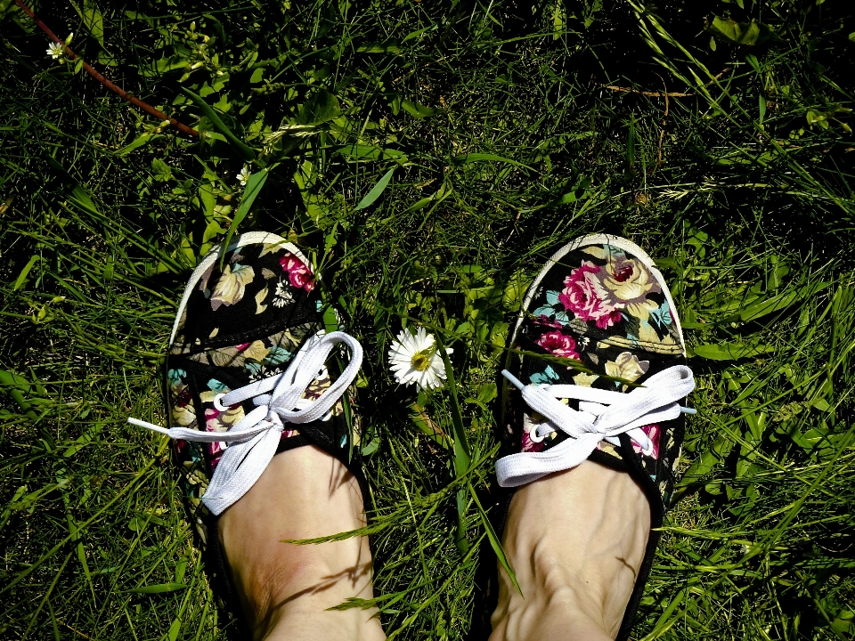 Nature grass shoe flower