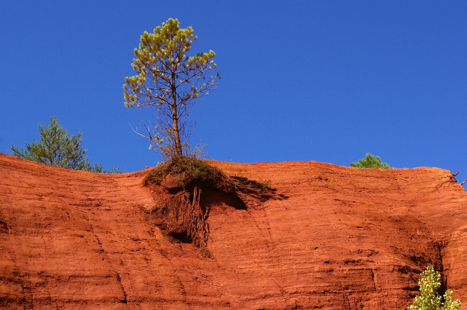 Paysage arbre nature rock