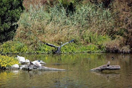 Landscape water nature outdoor Photo