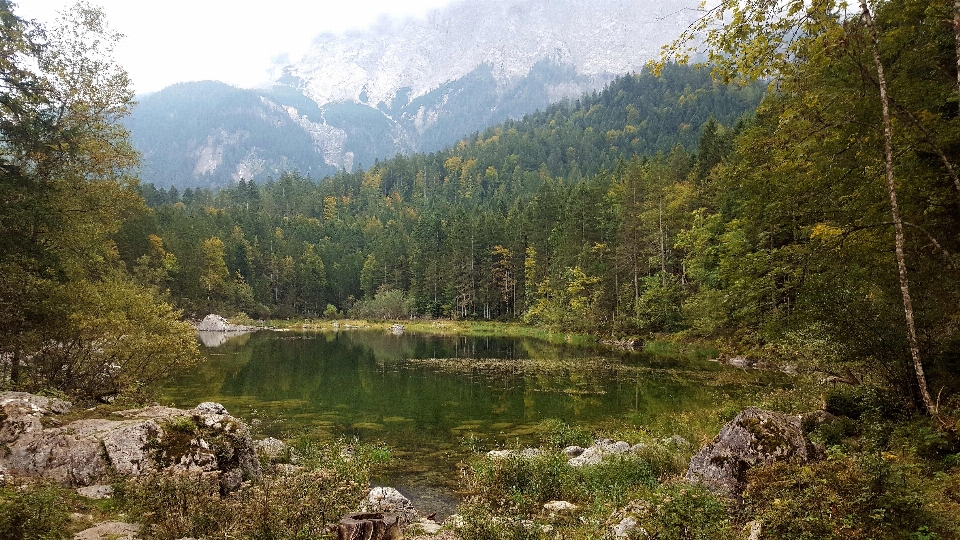 Landscape nature forest rock