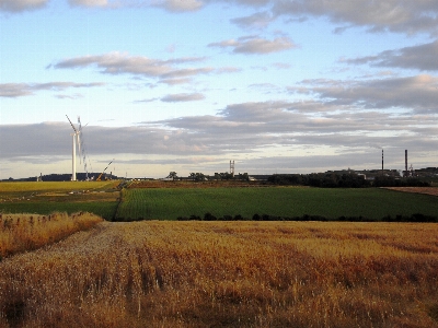 Landscape grass horizon marsh Photo