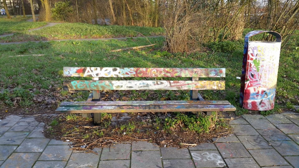 Trail bench lawn walkway