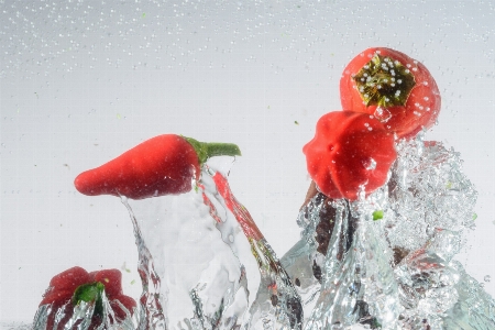 Water plant wave flower Photo