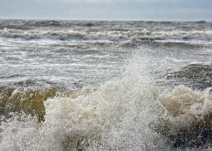 Strand meer küste wasser Foto