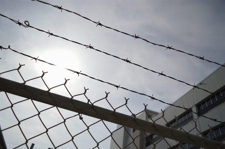 Fence barbed wire roof steel Photo