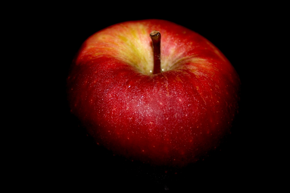 Apple 식물 과일 꽃