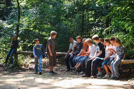 Forest group people adventure Photo