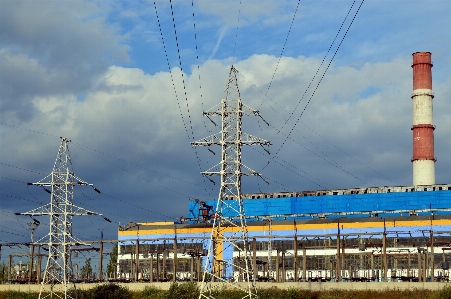 Post plant wind wire Photo