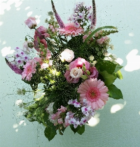 Blossom plant flower bouquet Photo