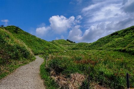 Landscape coast tree nature Photo