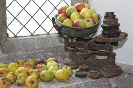 Anlage frucht essen produzieren Foto