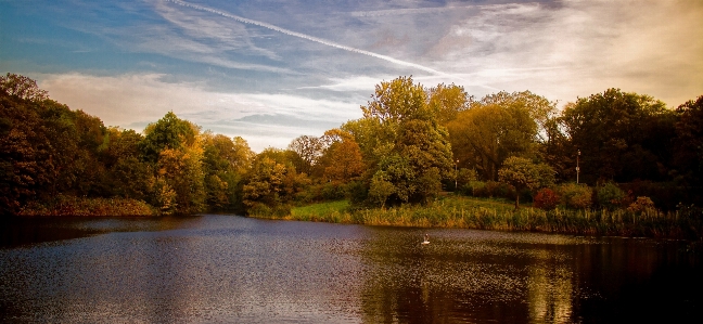 Landscape tree water nature Photo