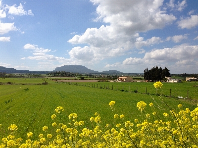 Landscape grass horizon mountain Photo