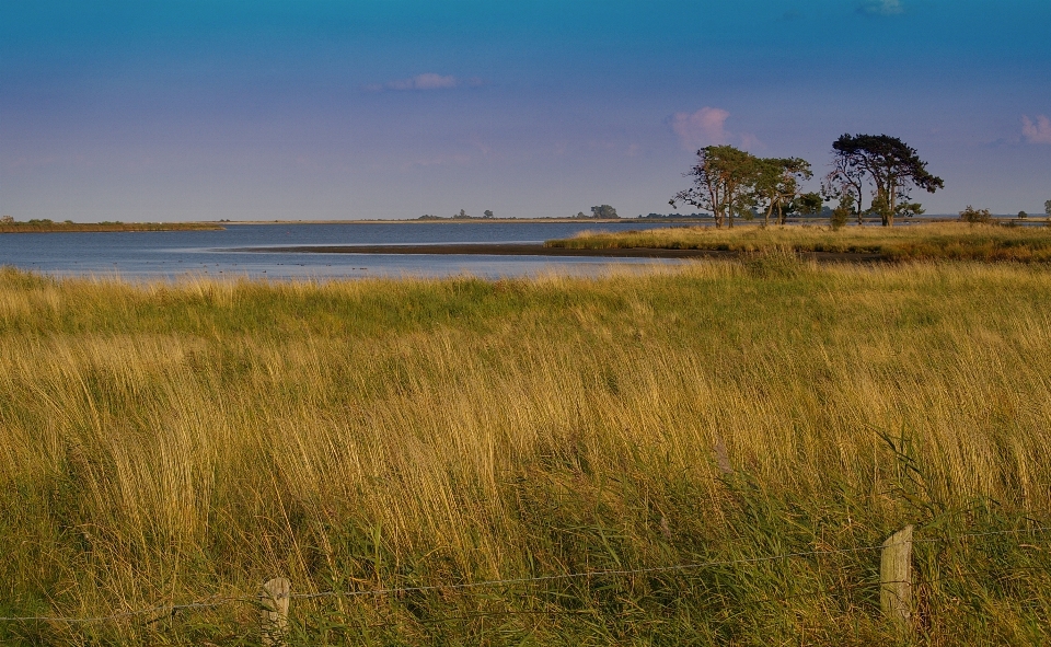 Beach landscape sea coast