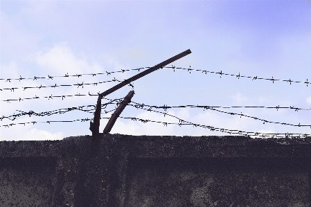 Fence barbed wire sky run Photo