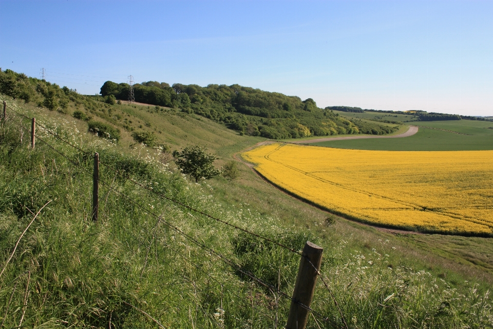 Paysage herbe ouvrir montagne